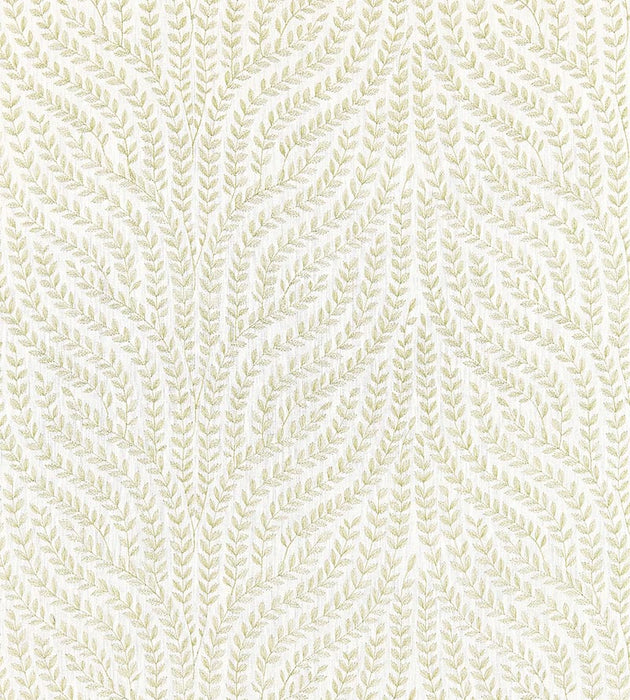 Scalamandre Willow Vine Embroidery Celery Fabric SC 000227125