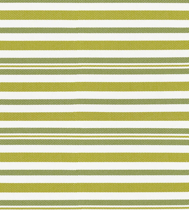 Scalamandre Santorini Stripe Palm Fabric SC 000227188