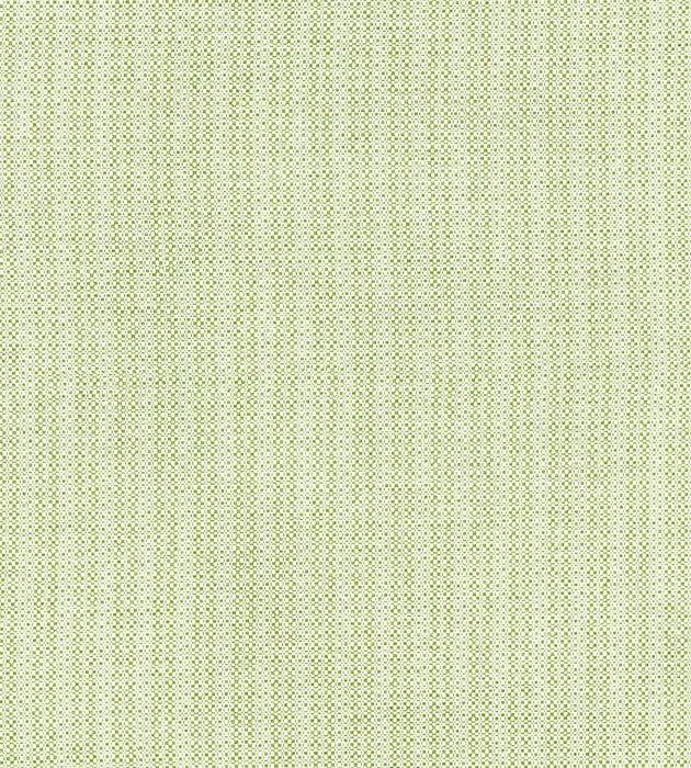 Scalamandre Tahiti Tweed Palm Fabric SC 000227192