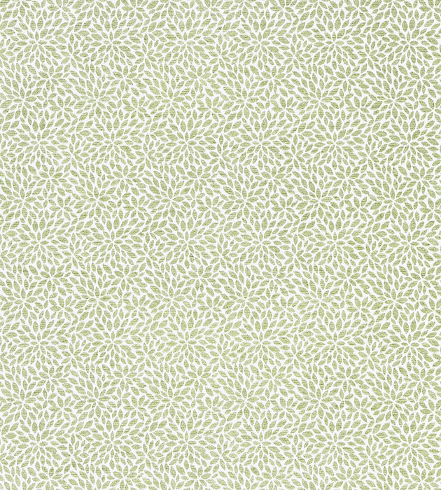 Scalamandre Risa Weave Fern Fabric SC 000227239