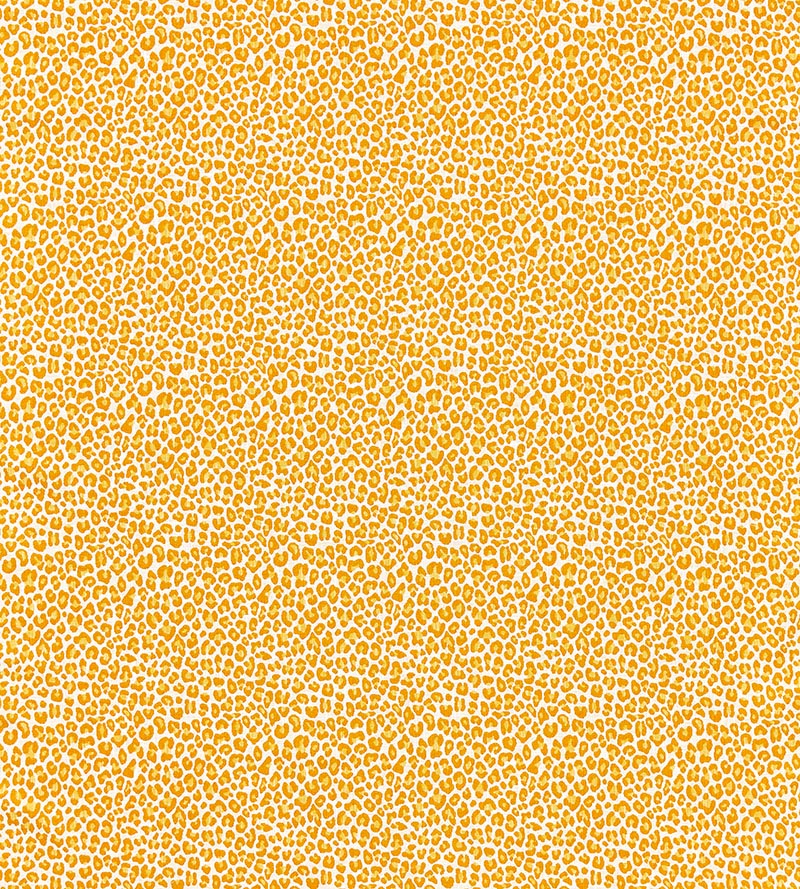 Scalamandre Backyard Bengal Tangerine Fabric SC 000227316