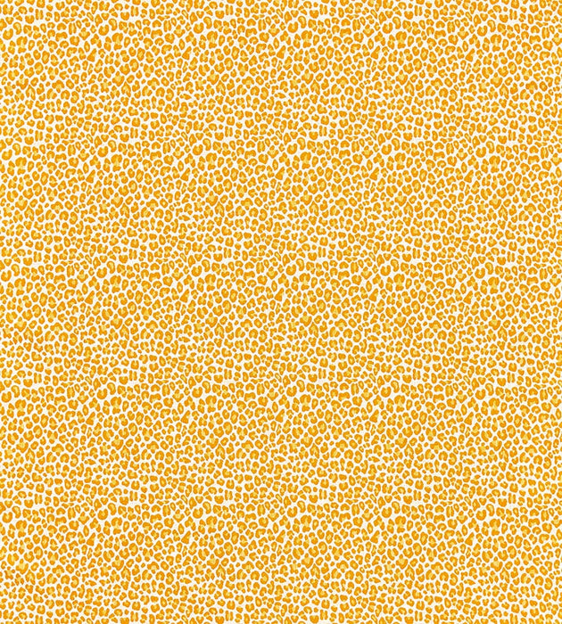 Scalamandre Backyard Bengal Tangerine Fabric SC 000227316