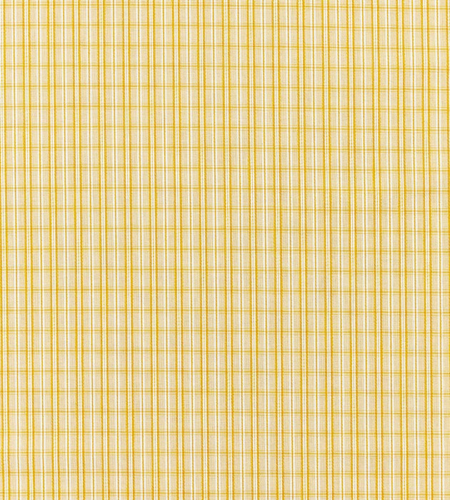 Scalamandre Check Please - Outdoor Goldenrod Fabric SC 000227318