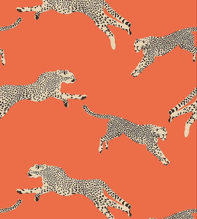 Scalamandre Leaping Cheetah Clementine Wallpaper SC 0002WP88449