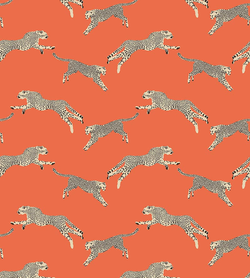 Scalamandre Leaping Cheetah Clementine Wallpaper SC 0002WP88449