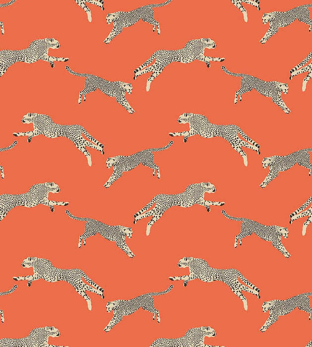 Scalamandre Leaping Cheetah Clementine Wallpaper Sample SC 0002WP88449