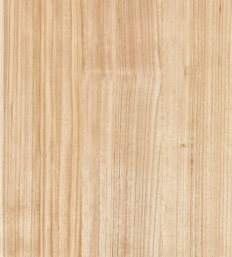 Scalamandre Woodgrain Oak Wallpaper SC 0002WP88478