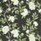 Scalamandre Peonia Linen Print Onyx Fabric SC 000316616