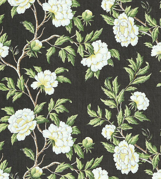 Scalamandre Peonia Linen Print Onyx Fabric SC 000316616