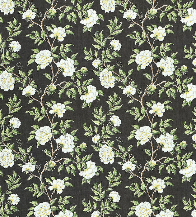 Scalamandre Peonia Linen Print Onyx Fabric SC 000316616