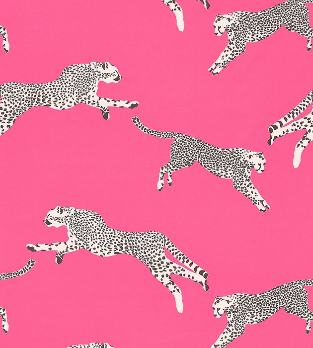 Scalamandre Leaping Cheetah Cotton Print Bubblegum Fabric SC 000316634