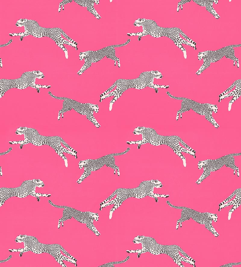 Scalamandre Leaping Cheetah Cotton Print Bubblegum Fabric SC 000316634