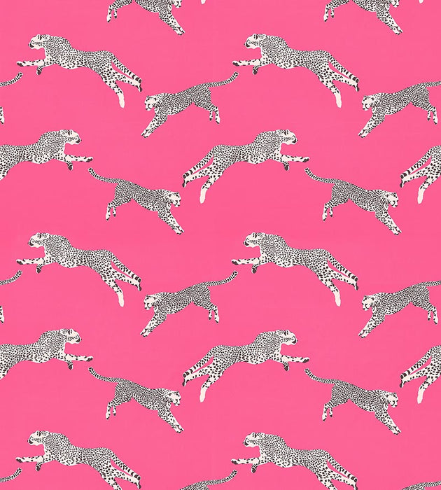 Scalamandre Leaping Cheetah Cotton Print Bubblegum Fabric SC 000316634