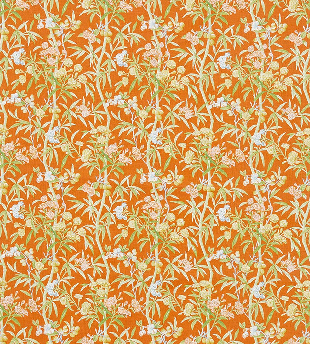 Scalamandre Lanai - Outdoor Guava Fabric SC 000316638