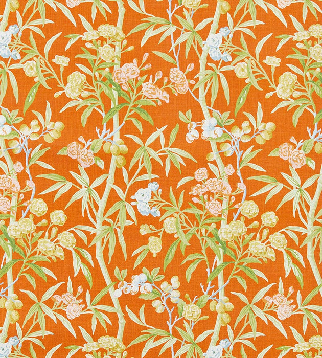 Scalamandre Lanai - Outdoor Guava Fabric SC 000316638