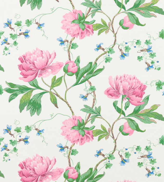 Scalamandre Isadora Print Petal Fabric SC 000316650