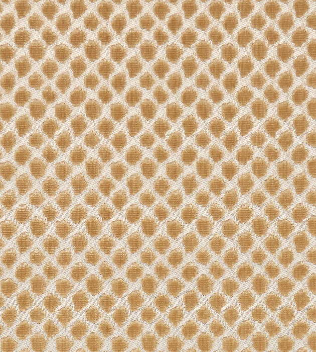 Scalamandre Etosha Velvet Palomino Fabric SC 000327022