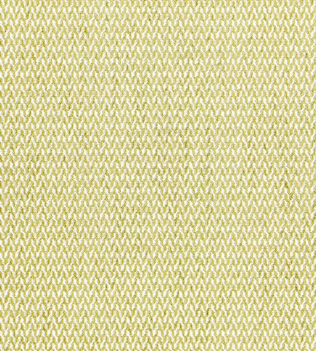 Scalamandre Cortona Chenille Fern Fabric SC 000327104