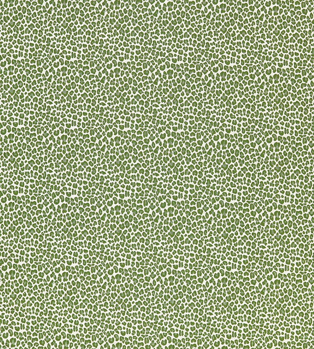 Scalamandre Backyard Bengal Ivy Fabric SC 000327316