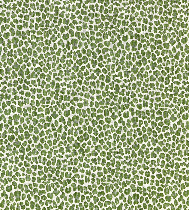 Scalamandre Backyard Bengal Ivy Fabric SC 000327316