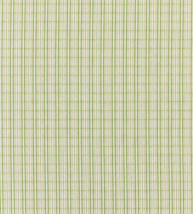 Scalamandre Check Please - Outdoor Fern Fabric SC 000327318