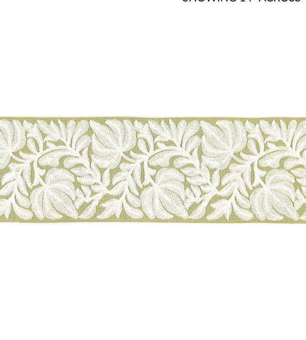 Scalamandre Coventry Embroidered Tape Celery Trim SC 0003T3296