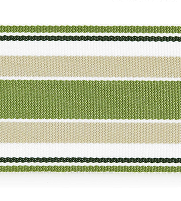 Scalamandre Marina Stripe Tape Palm Trim SC 0003T3311