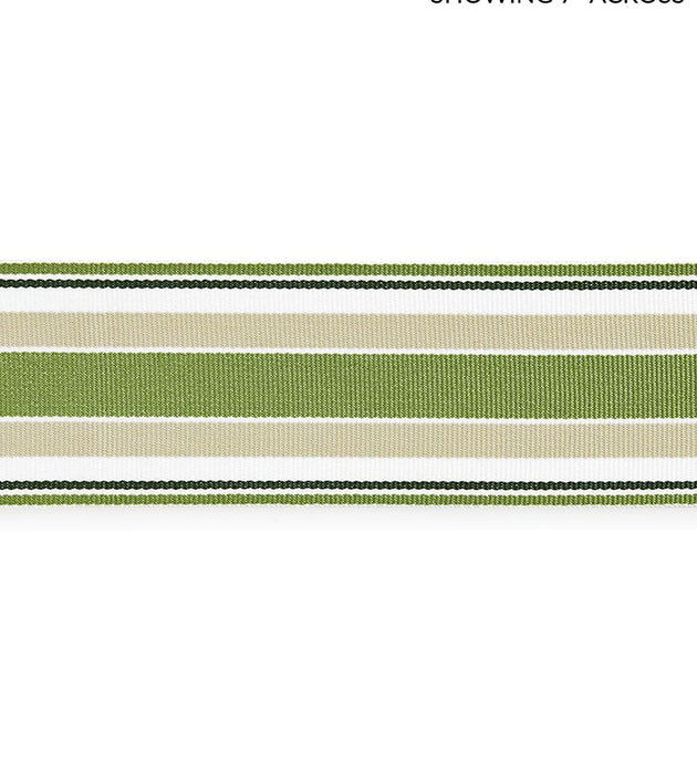 Scalamandre Marina Stripe Tape Palm Trim SC 0003T3311