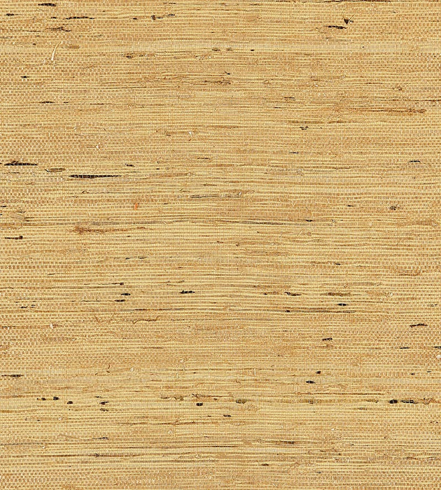 Scalamandre Arrowroot Weave Honey Wallpaper SC 0003WP88344