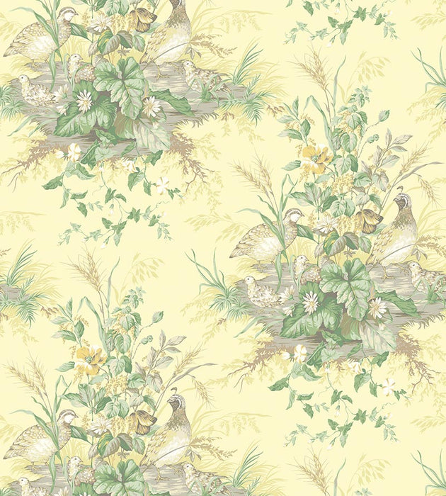 Scalamandre Edwin'S Covey Sunlit Wallpaper Sample SC 0003WP88434