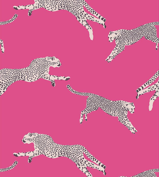 Scalamandre Leaping Cheetah Bubblegum Wallpaper Sample SC 0003WP88449