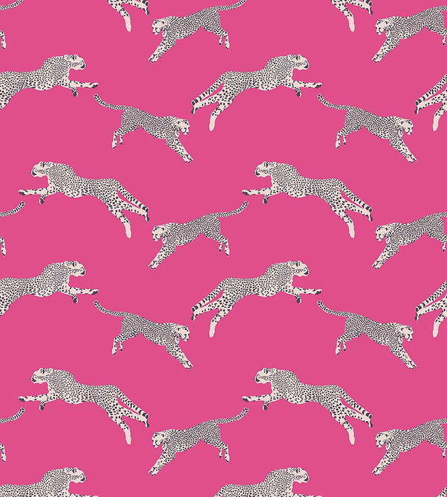 Scalamandre Leaping Cheetah Bubblegum Wallpaper Sample SC 0003WP88449