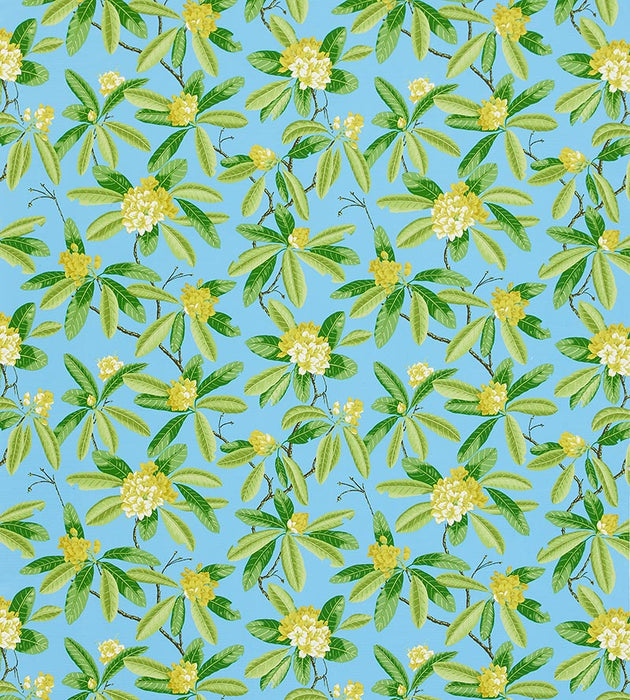 Scalamandre Rhododendron - Outdoor Carolina Fabric SC 000416454M