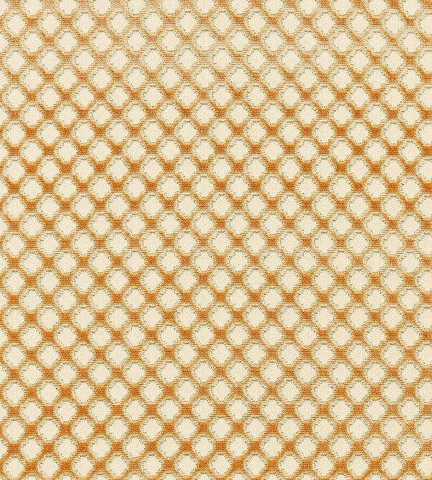 Scalamandre Pomfret Coffee On Beige Fabric SC 000426692