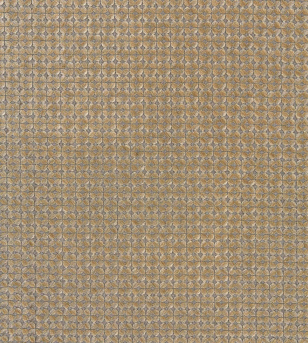 Scalamandre Floret Embroidery Smoky Quartz Fabric SC 000427133