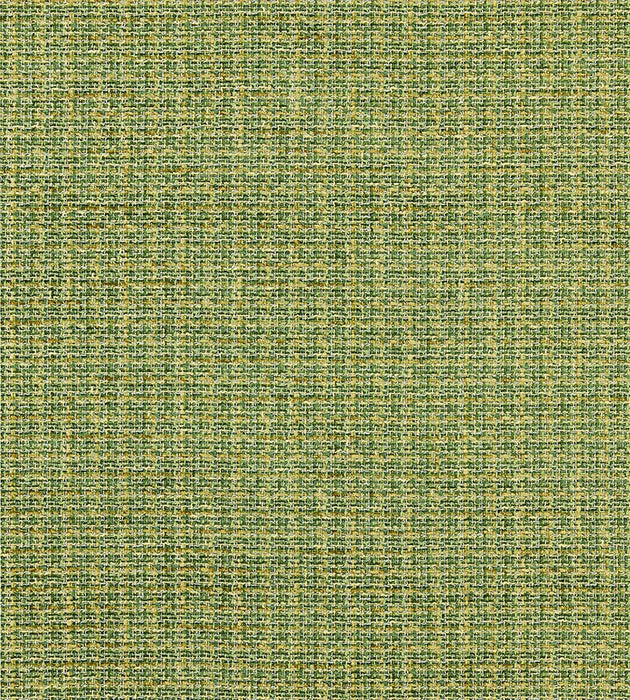 Scalamandre Highland Chenille Grass Fabric SC 000427257