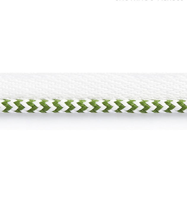 Scalamandre Zig Zag Cord Palm Trim Sample SC 0004C313