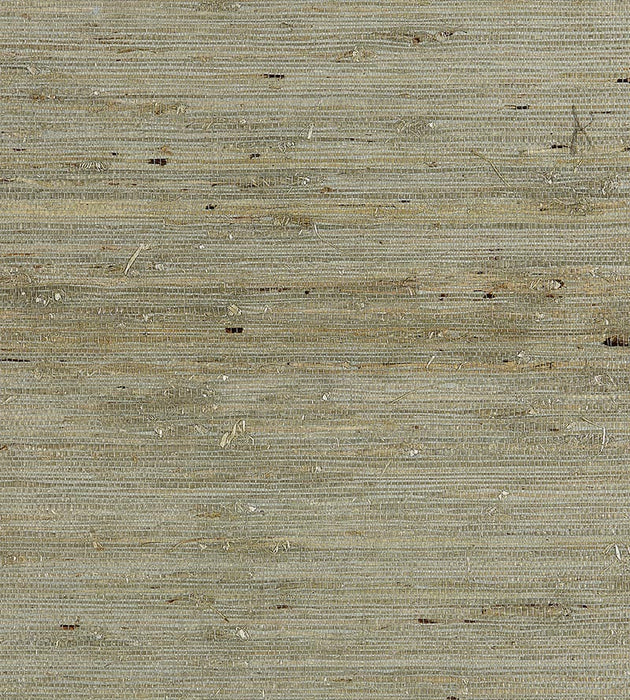 Scalamandre Arrowroot Weave Water Wallpaper SC 0004WP88344