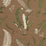 Scalamandre Elsie De Wolfe - Outdoor Greens On Brown Fabric SC 000516425