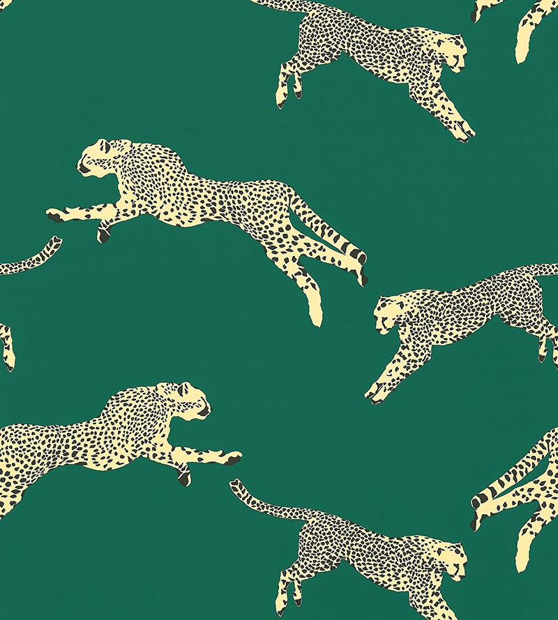 Scalamandre Leaping Cheetah Cotton Print Evergreen Fabric SC 000516634