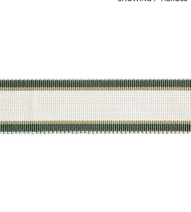 Scalamandre Odeon Shimmer Braid Ivy Trim Sample SC 0005V1249