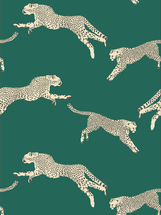 Scalamandre Leaping Cheetah Evergreen Wallpaper Sample SC 0005WP88449