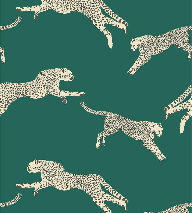 Scalamandre Leaping Cheetah Evergreen Wallpaper Sample SC 0005WP88449