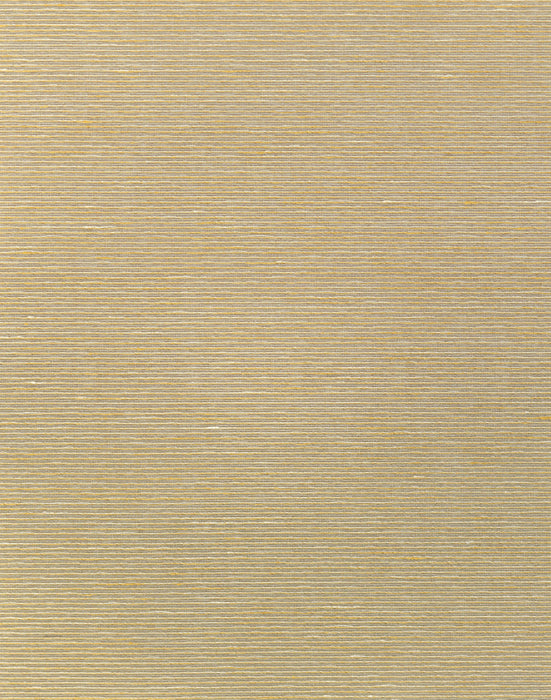 Scalamandre Aditi Plain Raffia Wallpaper Sample SC 0005WP88580