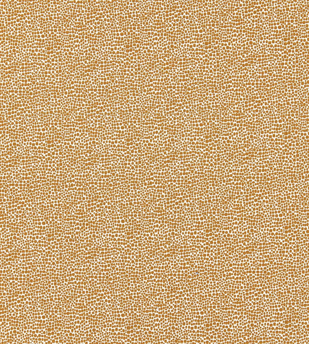 Scalamandre Shagreen Beige Fabric SC 000626914M