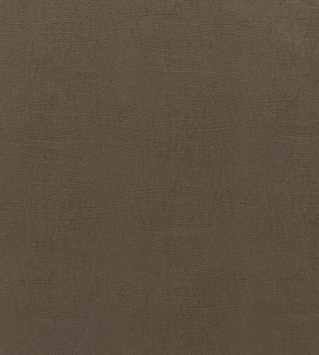 Scalamandre Cary Portobello Fabric SC 000627261