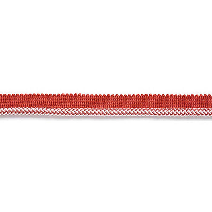 Scalamandre Georgica Braided Cord Coral Trim Sample SC 0006C303