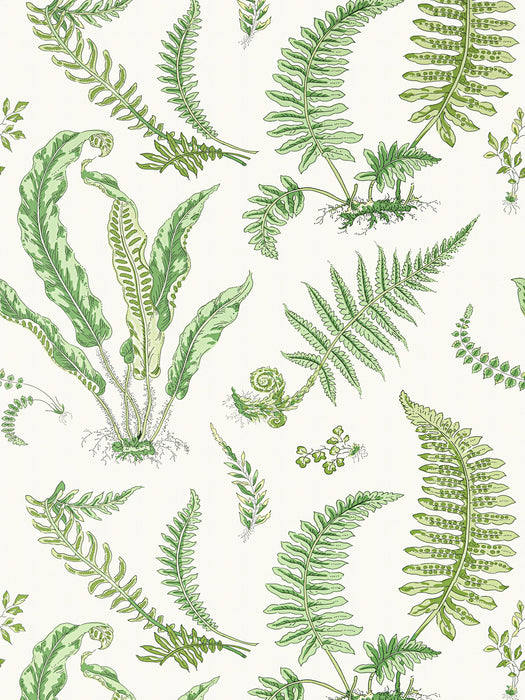 Scalamandre Elsie De Wolfe Fern Wallpaper SC 0006WP88592D