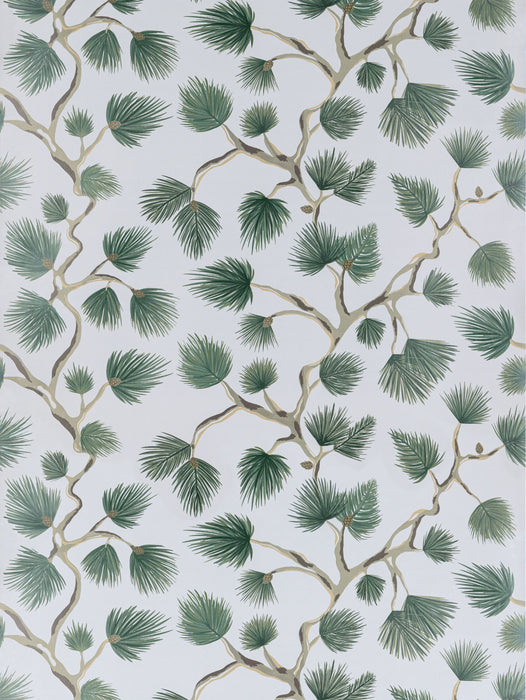 Scalamandre Pignoli Evergreen Wallpaper Sample SC 0006WP88593D