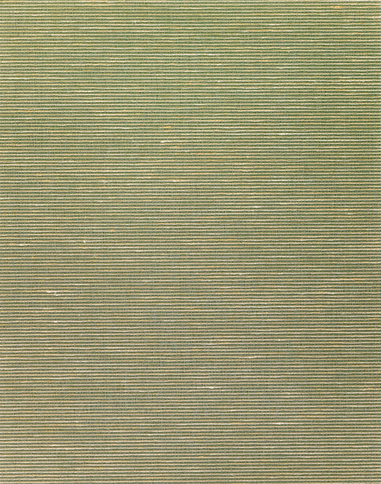 Scalamandre Aditi Plain Olive Wallpaper SC 0008WP88580